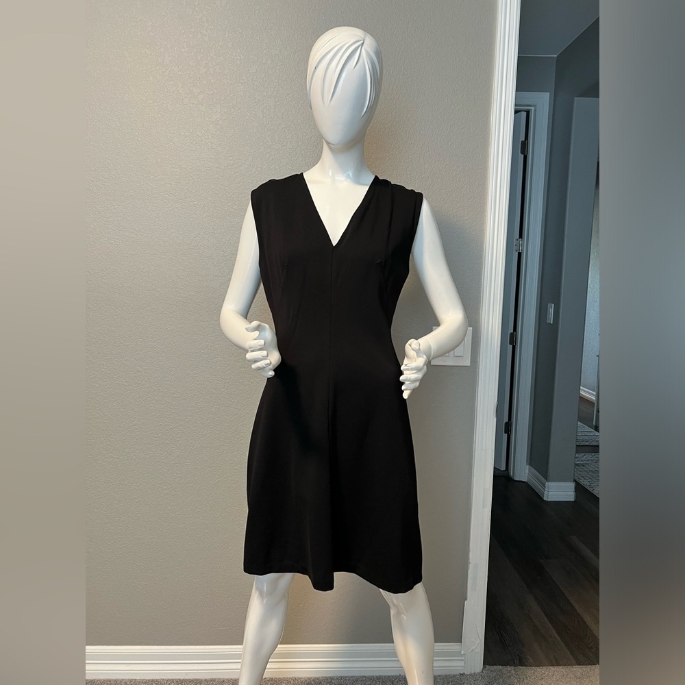 EVERLANE The Sleeveless V-Neck Flare Dress Size 8